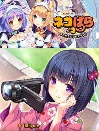 Poster: NEKOPARA Vol.3